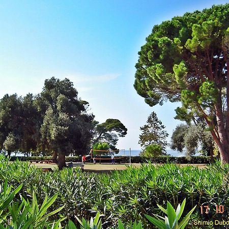 Dubrovnik Apartment Lasic Εξωτερικό φωτογραφία